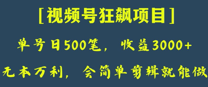 日收款500笔，纯利润3000+，视频号狂飙项目，会简单剪辑就能做【揭秘】-网创资源社