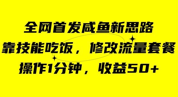 咸鱼冷门新玩法，靠“技能吃饭”，修改流量套餐，操作1分钟，收益50【揭秘】-网创资源社