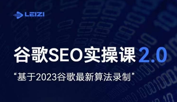 雷子·谷歌SEO 2.0实战课，独立站询盘自由必备，基于2023谷歌最新算法录制-网创资源社