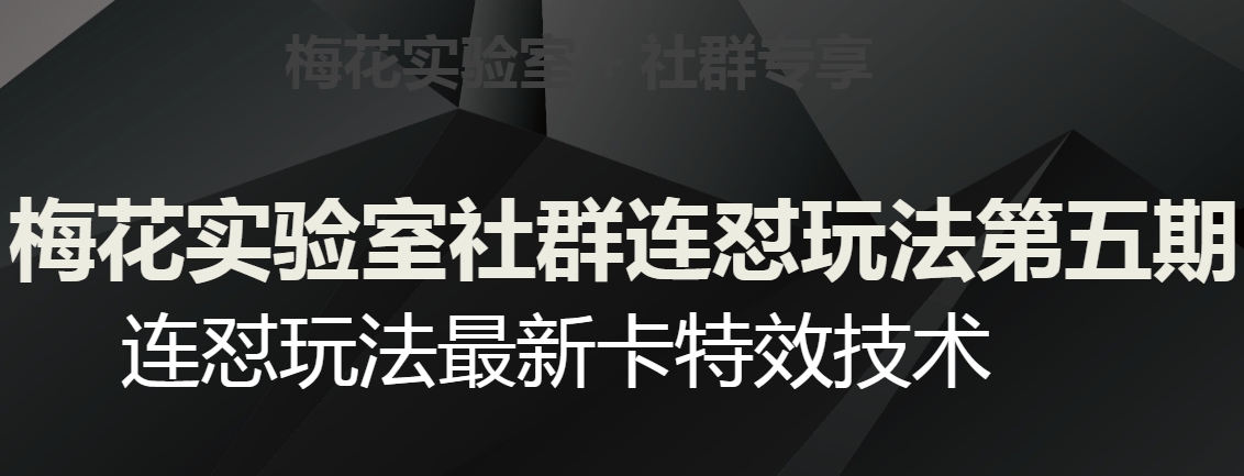 梅花实验室社群连怼玩法第五期，视频号连怼玩法最新卡特效技术-网创资源社