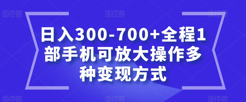 日入300-700+全程1部手机可放大操作多种变现方式【揭秘】-网创资源社