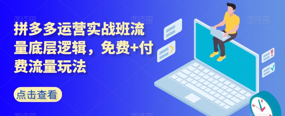 拼多多运营实战班流量底层逻辑，免费+付费流量玩法-网创资源社