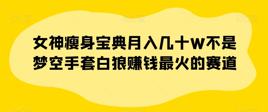 女神瘦身宝典月入几十W不是梦空手套白狼赚钱最火的赛道【揭秘】-网创资源社