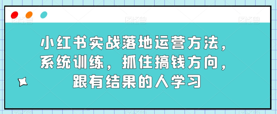 小红书实战落地运营方法，系统训练，抓住搞钱方向，跟有结果的人学习-网创资源社