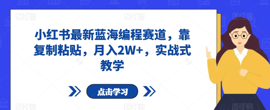 小红书最新蓝海编程赛道，靠复制粘贴，月入2W+，实战式教学【揭秘】-网创资源社