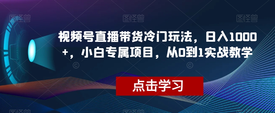 视频号直播带货冷门玩法，日入1000+，小白专属项目，从0到1实战教学【揭秘】-网创资源社