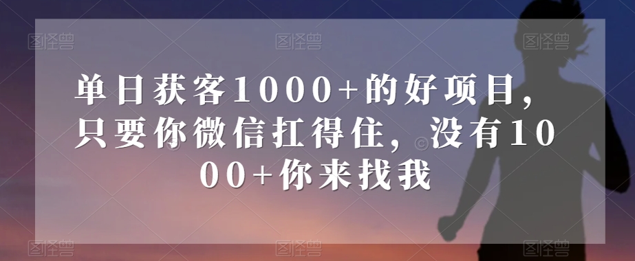 单日获客1000+的好项目，只要你微信扛得住，没有1000+你来找我【揭秘】-网创资源社