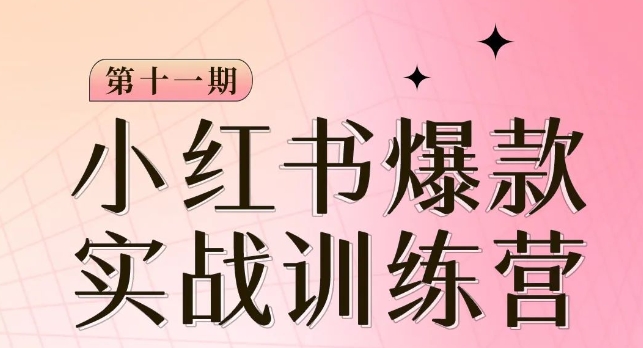 小红书博主爆款训练营第11期，手把手教你从0-1做小红书，从定位到起号到变现-网创资源社