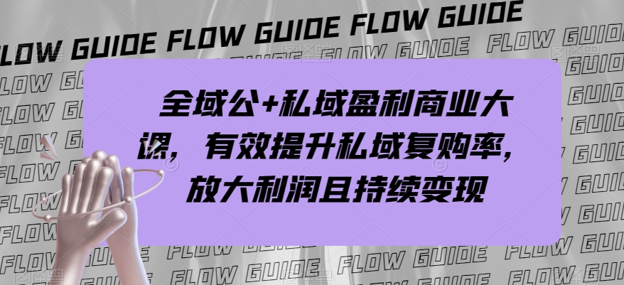 全域公+私域盈利商业大课，有效提升私域复购率，放大利润且持续变现-网创资源社