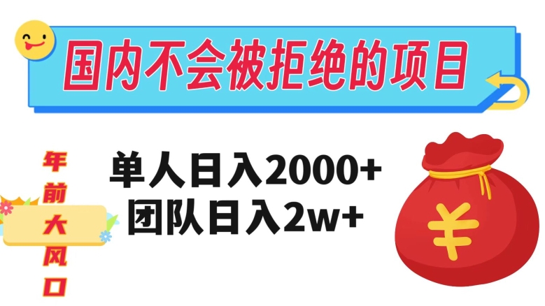 在国内不怕被拒绝的项目，单人日入2000，团队日入20000+【揭秘】-网创资源社