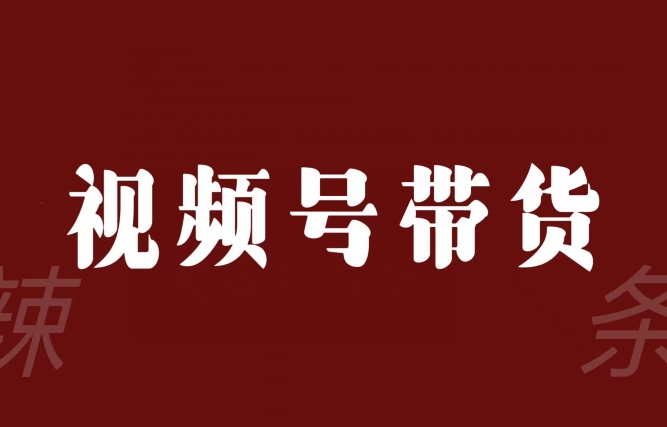 视频号带货联盟，赚信息差的带货钱，只需手机随时随地都可以做！-网创资源社