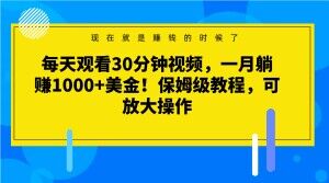 每天观看30分钟视频，一月躺赚1000+美金！保姆级教程，可放大操作【揭秘】-网创资源社