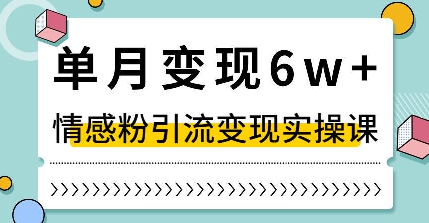 单月变现6W+，抖音情感粉引流变现实操课，小白可做，轻松上手，独家赛道【揭秘】-网创资源社