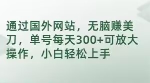 通过国外网站，无脑赚美刀，单号每天300+可放大操作，小白轻松上手【揭秘】-网创资源社