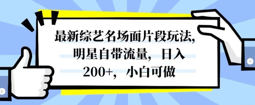 最新综艺名场面片段玩法，明星自带流量，日入200+，小白可做【揭秘】-网创资源社