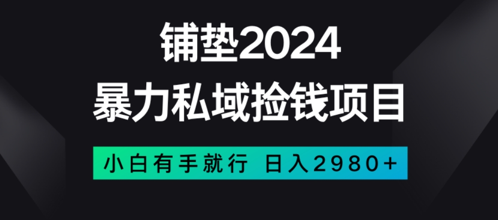 暴力私域捡钱项目，小白无脑操作，日入2980【揭秘】-网创资源社