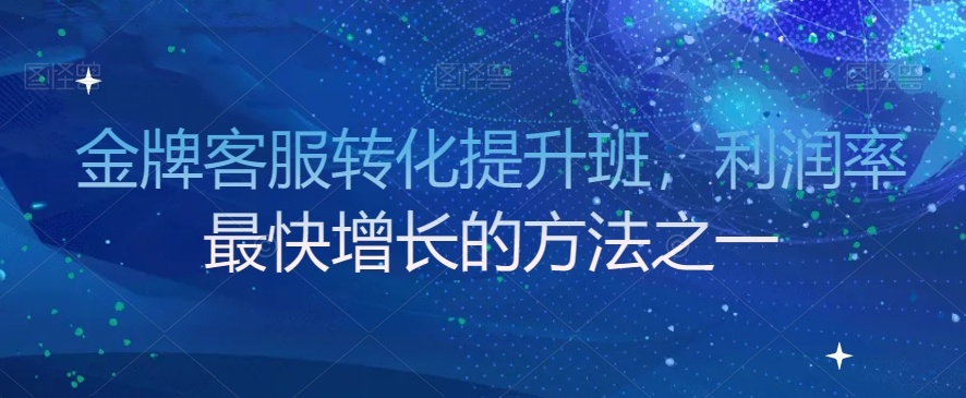 金牌客服转化提升班，利润率最快增长的方法之一-网创资源社