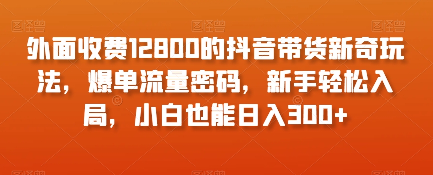 外面收费12800的抖音带货新奇玩法，爆单流量密码，新手轻松入局，小白也能日入300+【揭秘】-网创资源社