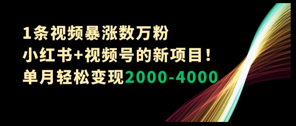 1条视频暴涨数万粉–小红书+视频号的新项目！单月轻松变现2000-4000【揭秘】-网创资源社