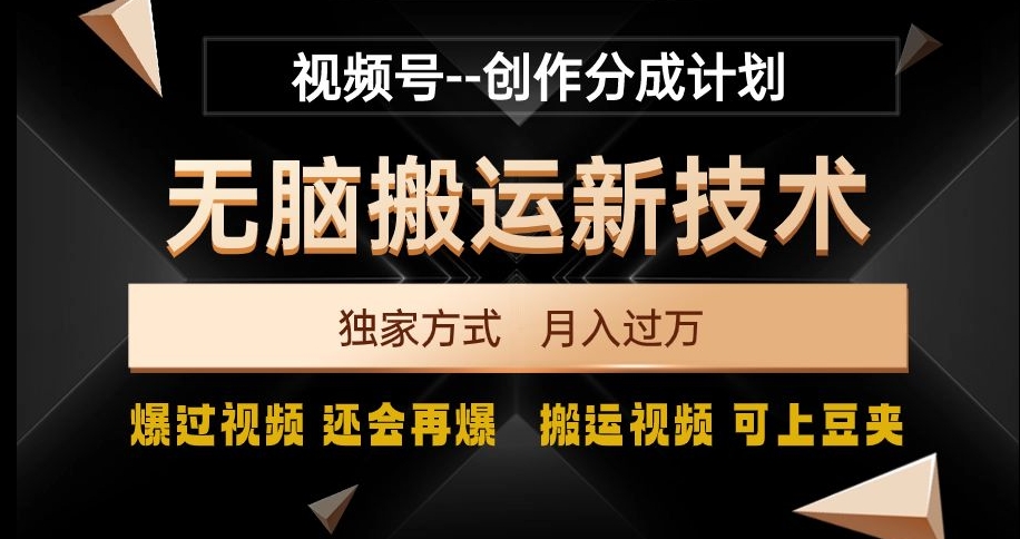 视频号无脑搬运新技术，破原创壕流量，独家方式，爆过视频，还会再爆【揭秘】-网创资源社