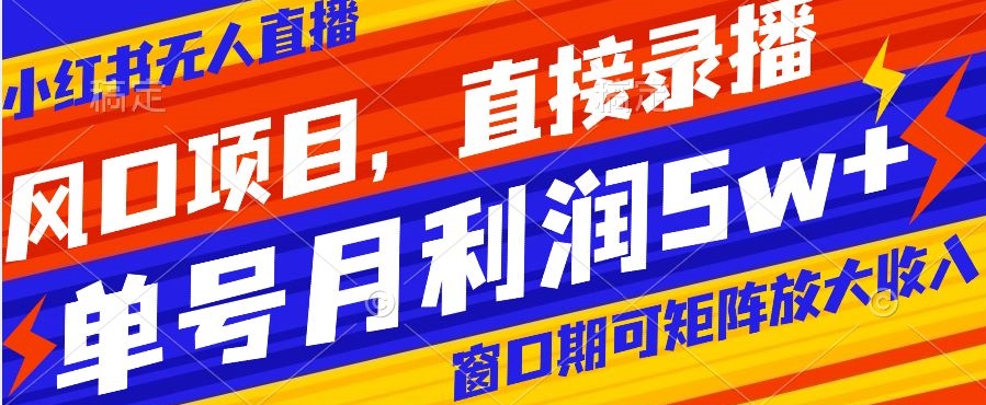 风口项目，小红书无人直播带货，直接录播，可矩阵，月入5w+【揭秘】-网创资源社