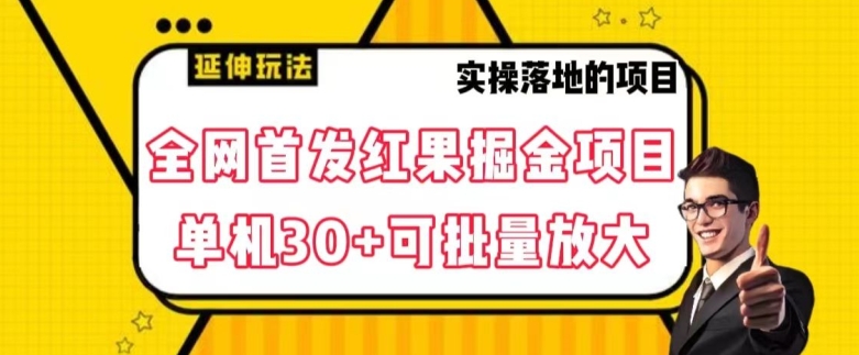 全网首发红果免费短剧掘金项目，单机30+可批量放大【揭秘】-网创资源社