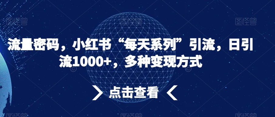 流量密码，小红书“每天系列”引流，日引流1000+，多种变现方式【揭秘】-网创资源社