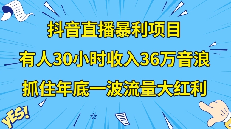 抖音直播暴利项目，有人30小时收入36万音浪，公司宣传片年会视频制作，抓住年底一波流量大红利【揭秘】-网创资源社