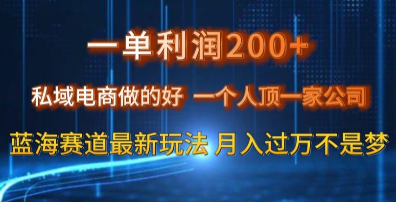 一单利润200私域电商做的好，一个人顶一家公司蓝海赛道最新玩法【揭秘】-网创资源社