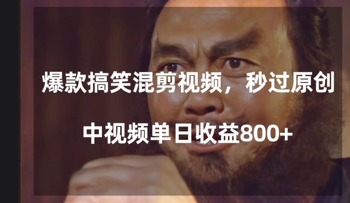 爆款搞笑混剪视频，百分百过原创，单日中视频播放收益800+【揭秘】-网创资源社