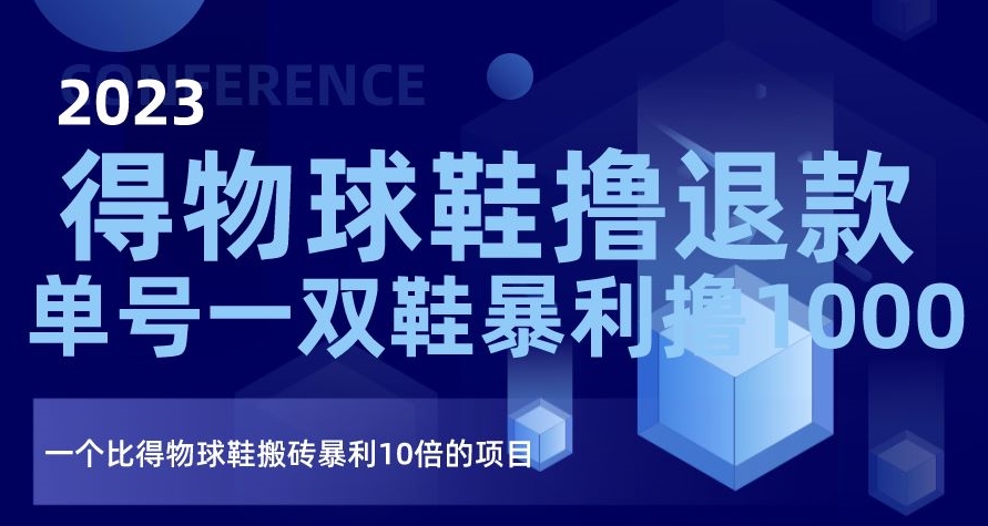 2023得物球鞋撸退款，单号一双鞋暴利撸1000，一个比得物球鞋搬砖暴利10倍的项目【揭秘】-网创资源社