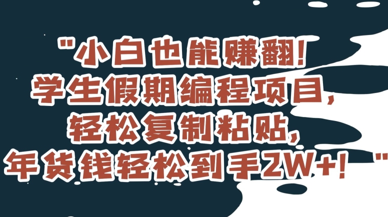 小白也能赚翻！学生假期编程项目，轻松复制粘贴，年货钱轻松到手2W+【揭秘】-网创资源社