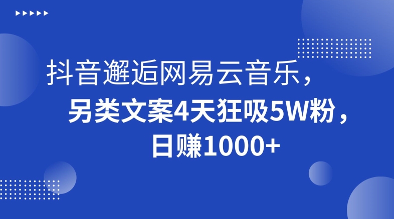 抖音邂逅网易云音乐，另类文案4天狂吸5W粉，日赚1000+【揭秘】-网创资源社