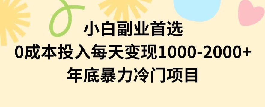 小白副业首选，0成本投入，每天变现1000-2000年底暴力冷门项目【揭秘】-网创资源社