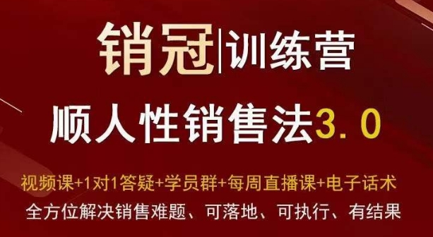 爆款！销冠训练营3.0之顺人性销售法，全方位解决销售难题、可落地、可执行、有结果-网创资源社