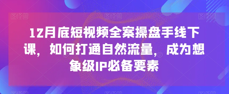 12月底短视频全案操盘手线下课，如何打通自然流量，成为想象级IP必备要素-网创资源社