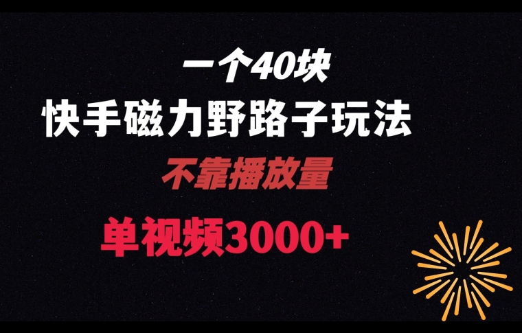 一个40块，快手联合美团磁力新玩法，无视机制野路子玩法，单视频收益4位数【揭秘】-网创资源社