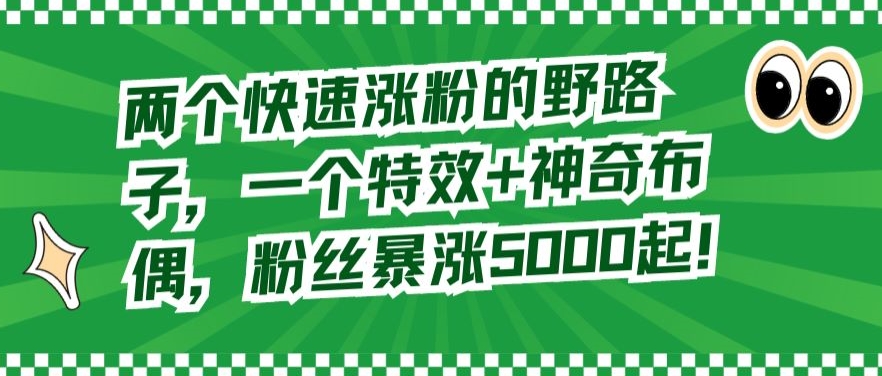 两个快速涨粉的野路子，一个特效+神奇布偶，粉丝暴涨5000起【揭秘】-网创资源社