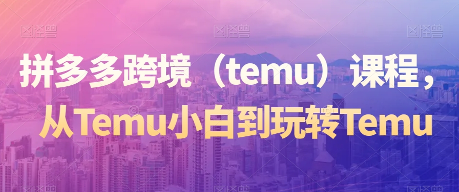 拼多多跨境（temu）课程，从Temu小白到玩转Temu-网创资源社