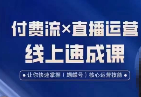 视频号付费流实操课程，付费流✖️直播运营速成课，让你快速掌握视频号核心运营技能-网创资源社