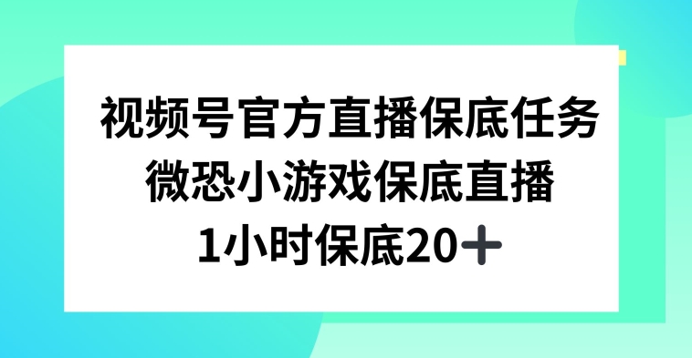 视频号直播任务，微恐小游戏，1小时20+【揭秘】-网创资源社