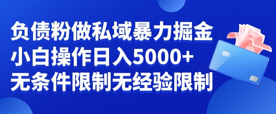 负债粉私域暴力掘金，小白操作入5000，无经验限制，无条件限制【揭秘】-网创资源社