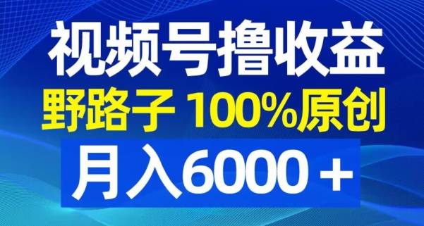 视频号野路子撸收益，100%原创，条条爆款，月入6000＋【揭秘】-网创资源社