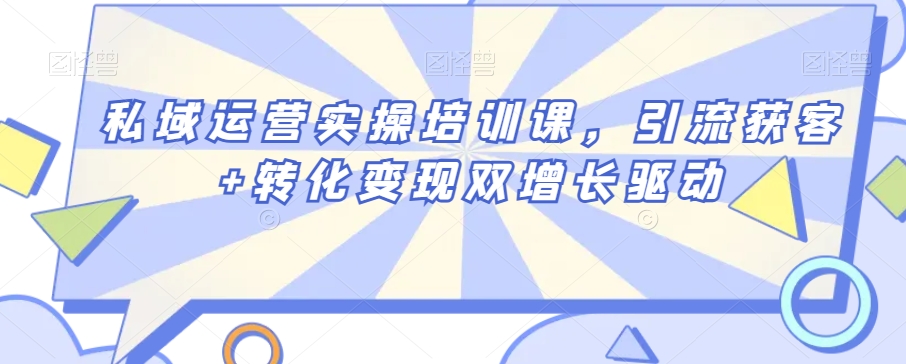 私域运营实操培训课，引流获客+转化变现双增长驱动-网创资源社