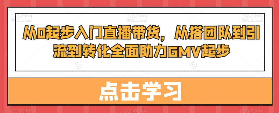 从0起步入门直播带货，​从搭团队到引流到转化全面助力GMV起步-网创资源社