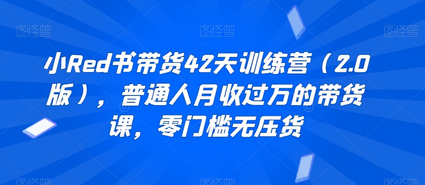 小Red书带货42天训练营（2.0版），普通人月收过万的带货课，零门槛无压货-网创资源社