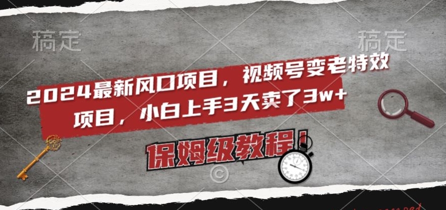 2024最新风口项目，视频号变老特效项目，电脑小白上手3天卖了3w+，保姆级教程【揭秘】-网创资源社