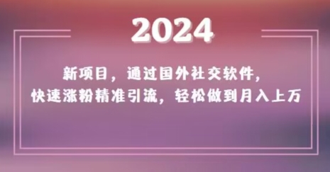 2024新项目，通过国外社交软件，快速涨粉精准引流，轻松做到月入上万【揭秘】-网创资源社