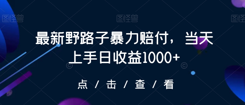 最新野路子暴力赔付，当天上手日收益1000+【仅揭秘】-网创资源社