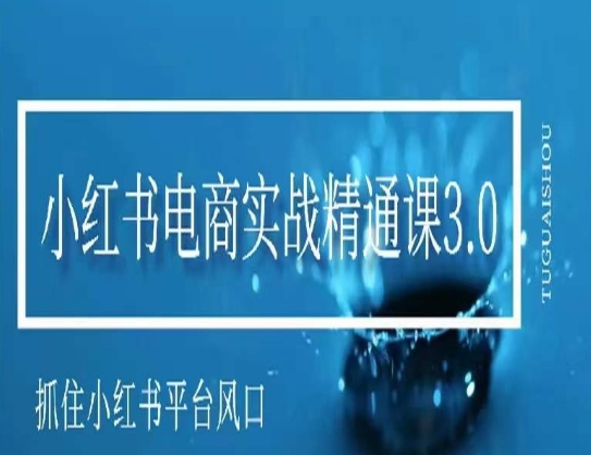 小红书电商实战精通课3.0，抓住小红书平台的风口，不错过有一个赚钱的机会-网创资源社